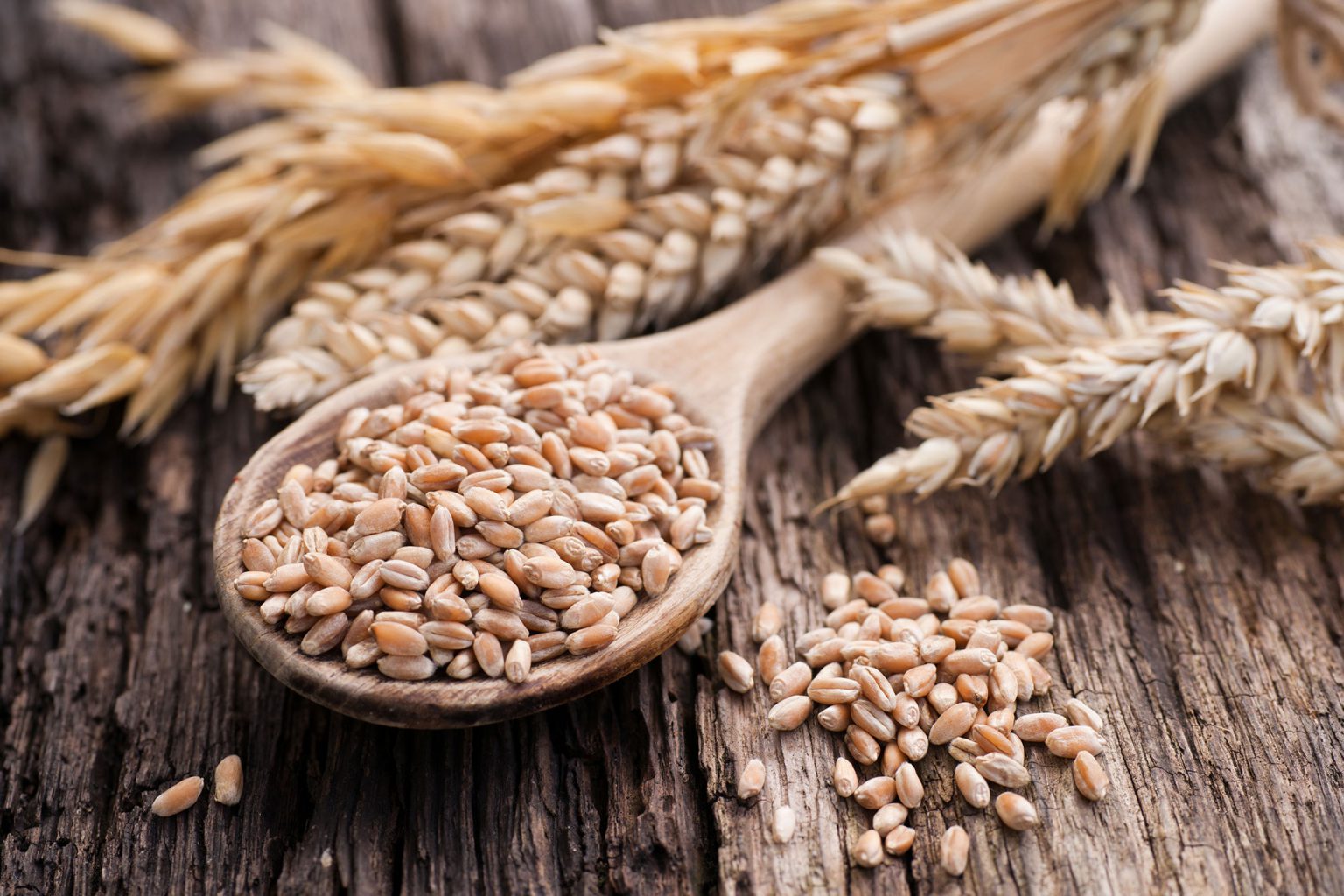 Alimento Integral Casa Suiça